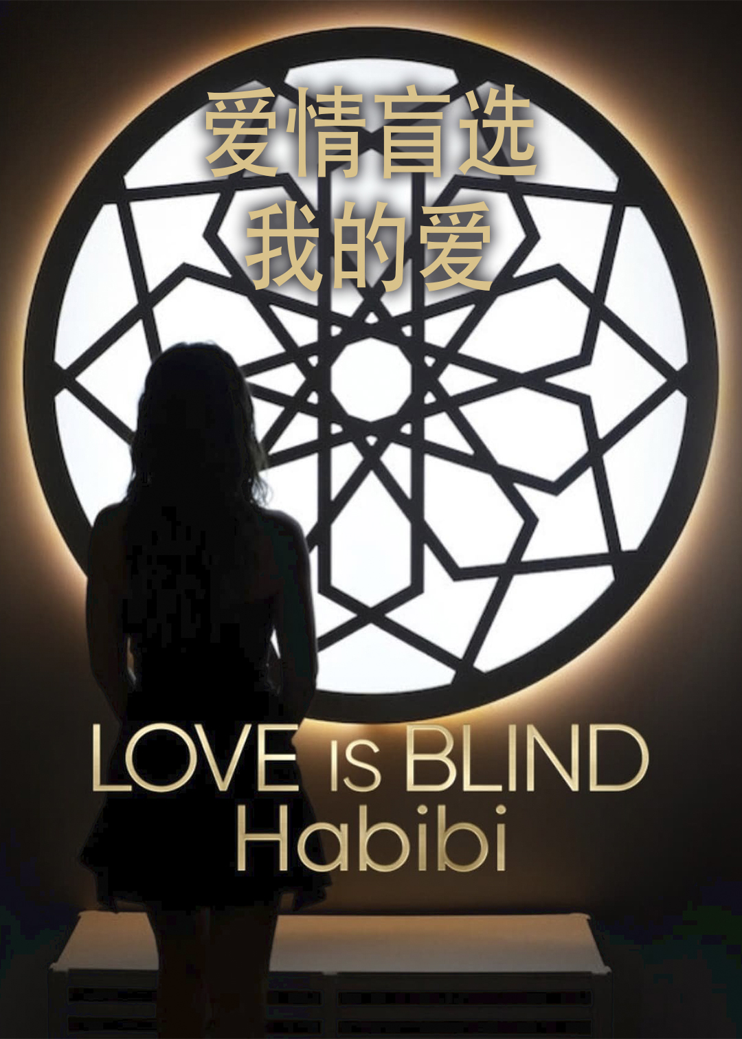 爱情盲选我的爱