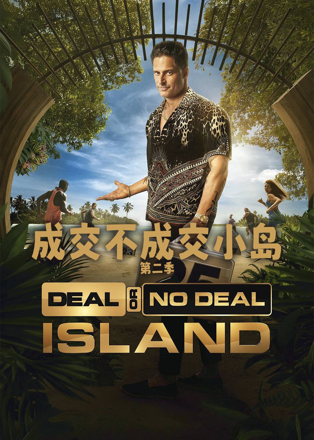 成交不成交小岛第二季