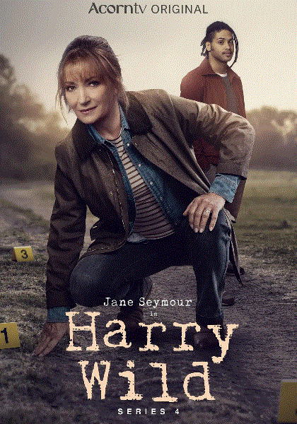 野探哈莉第四季