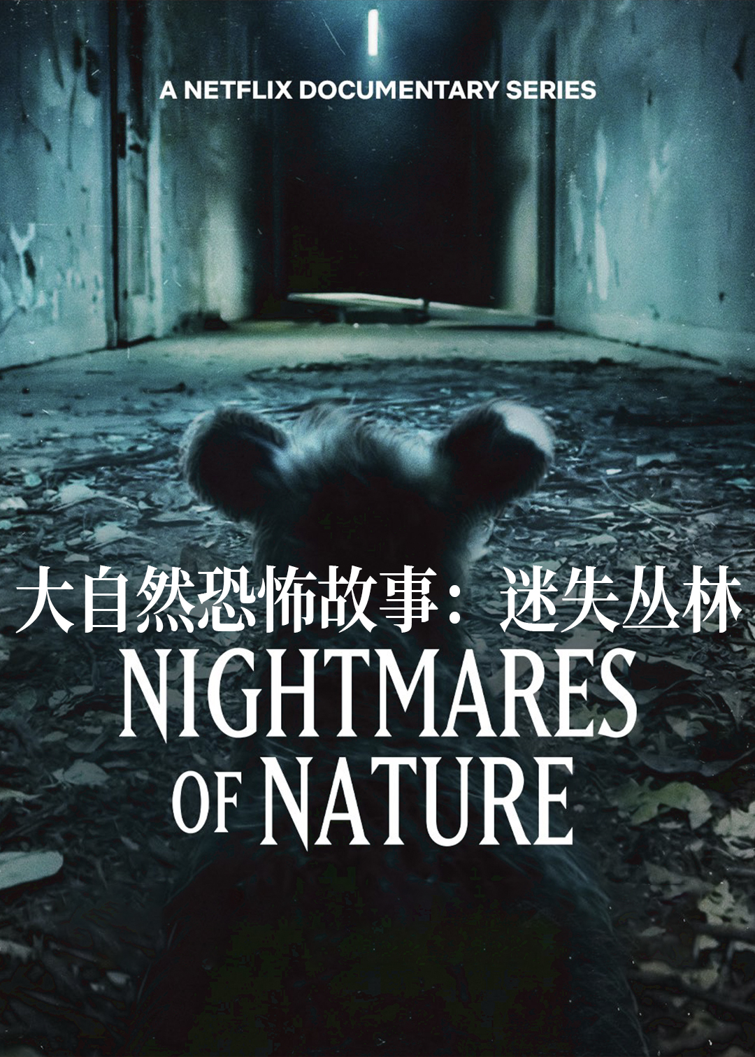 大自然恐怖故事迷失丛林