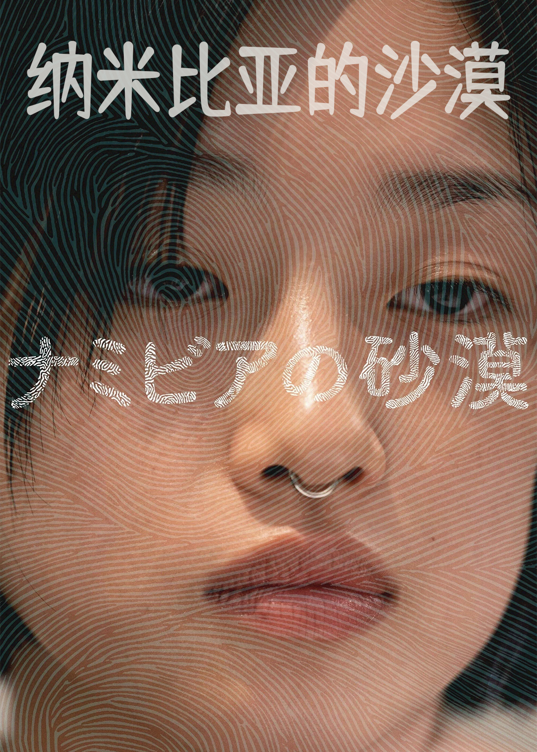 纳米比亚的沙漠