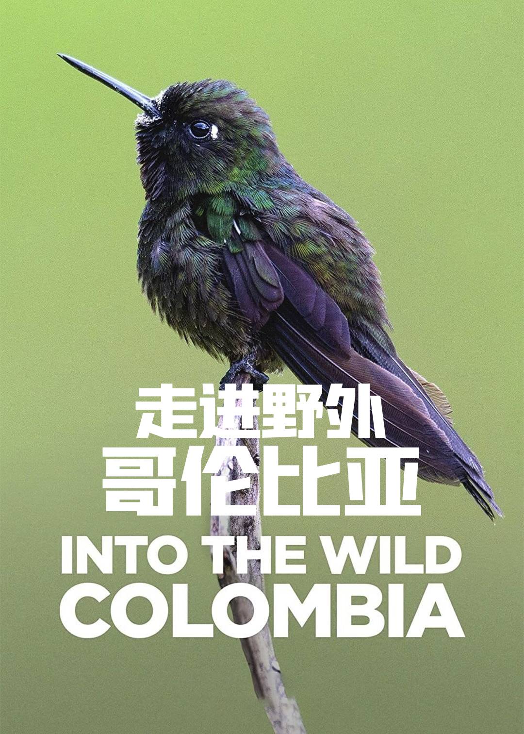 走进野外哥伦比亚