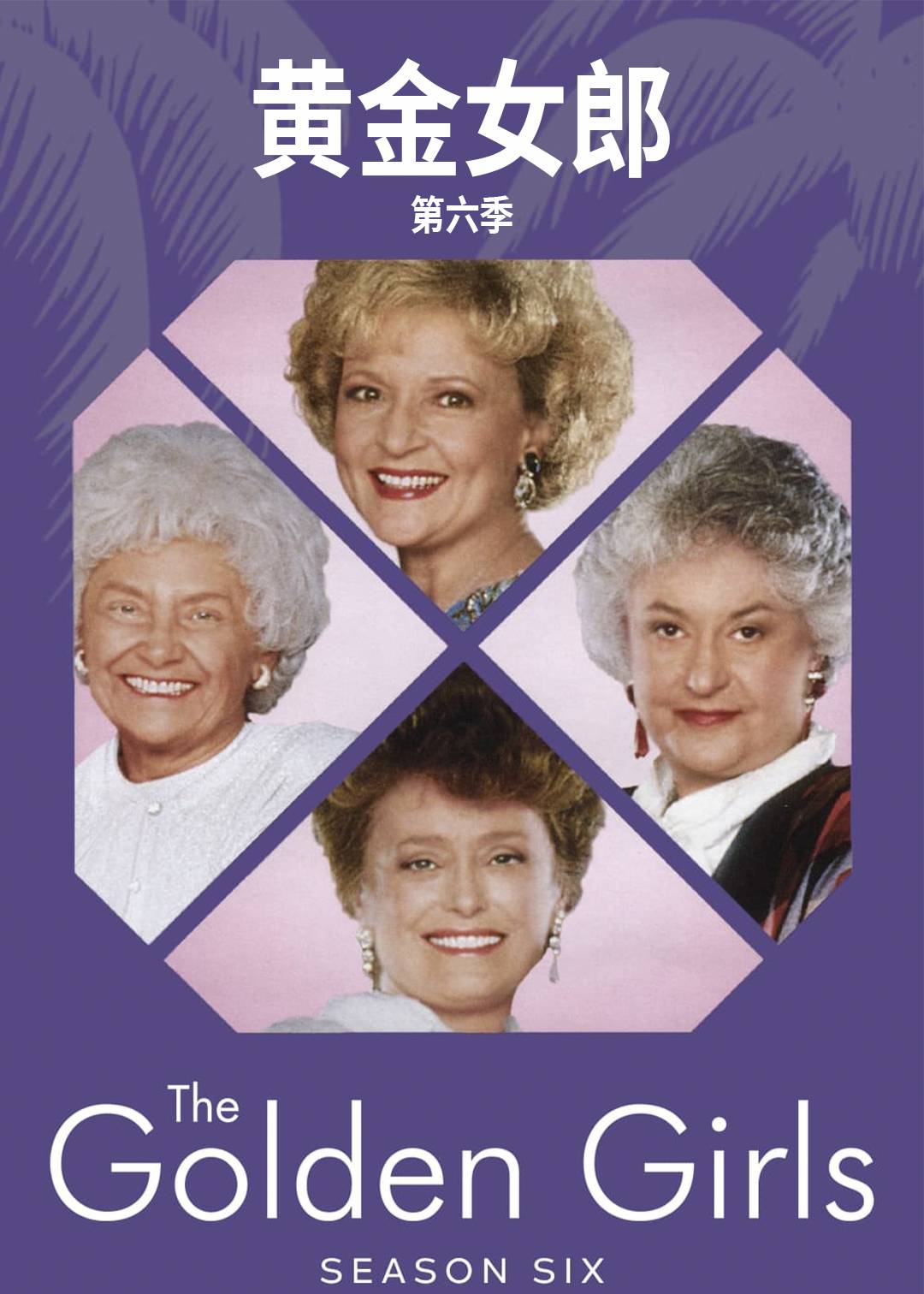 黄金女郎第六季