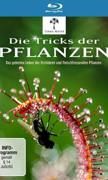 植物的秘密武器