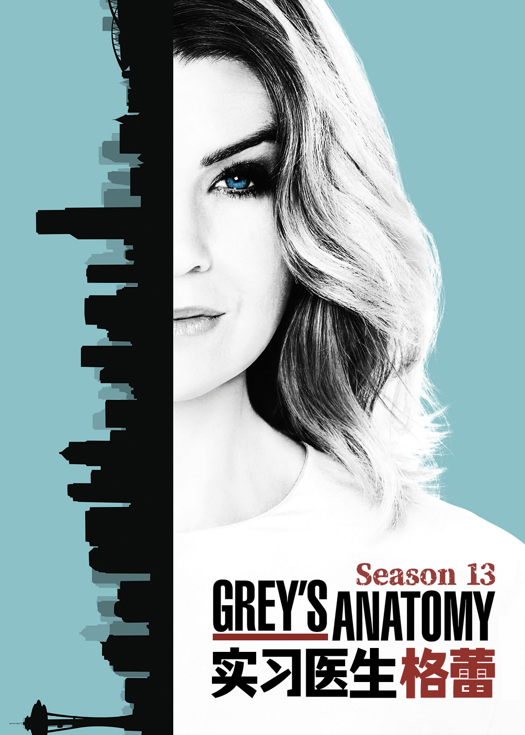 实习医生格蕾第十三季