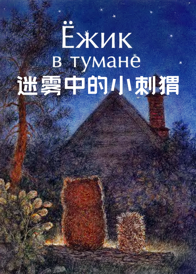 迷雾中的小刺猬