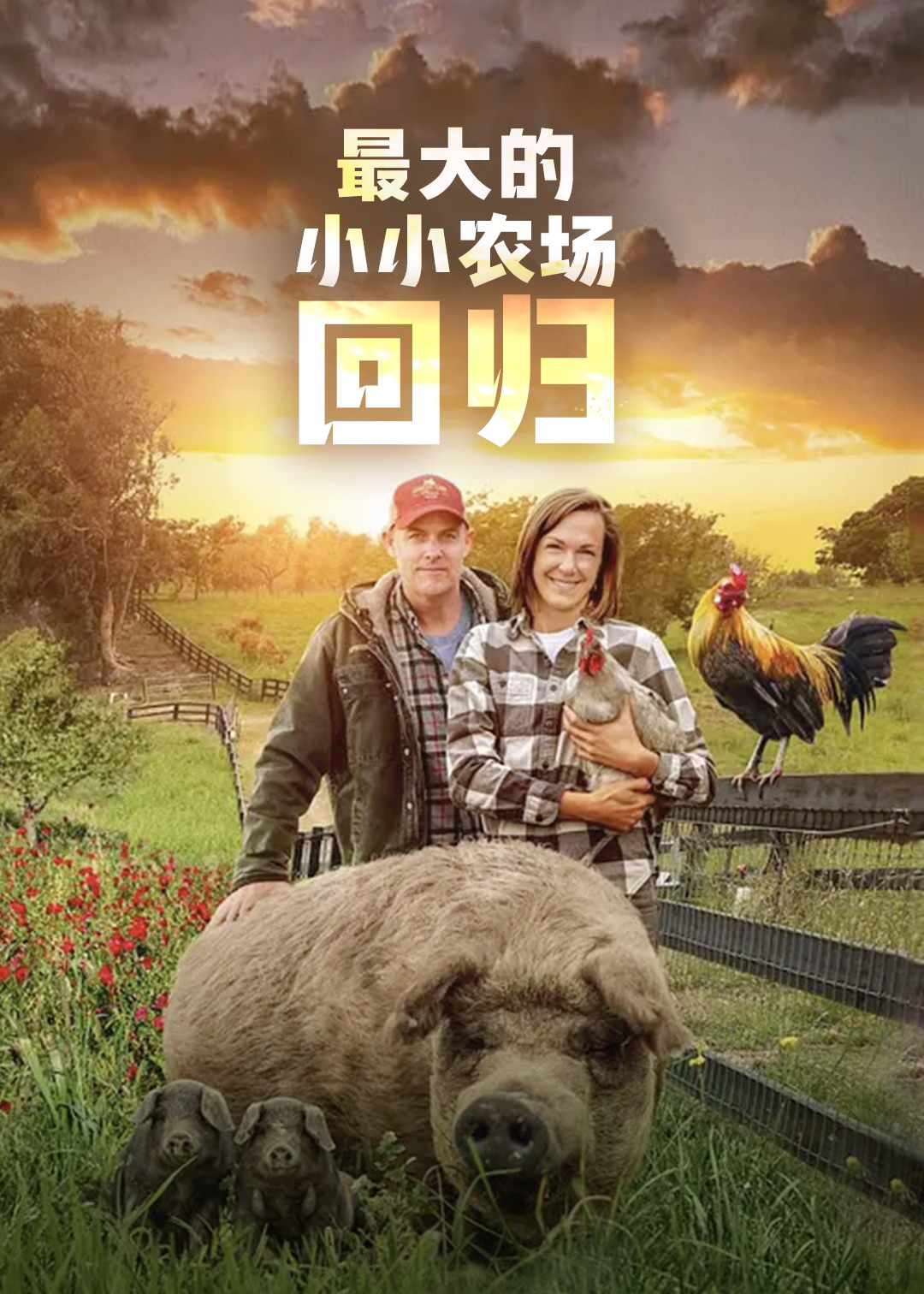 最大的小小农场回归