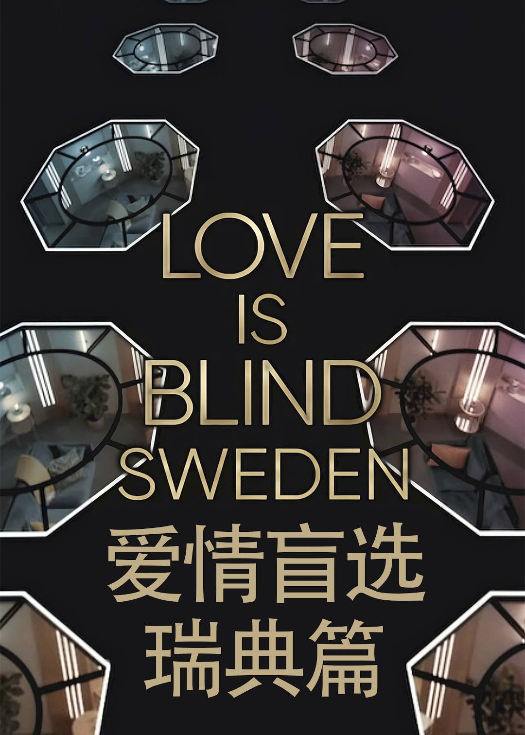 爱情盲选瑞典篇