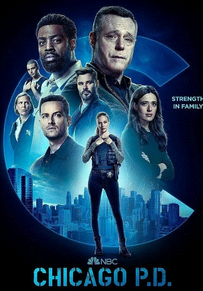 芝加哥警署第十季