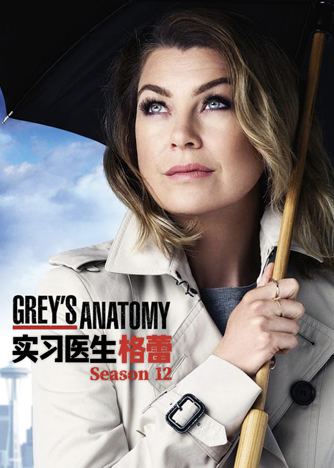 实习医生格蕾第十二季