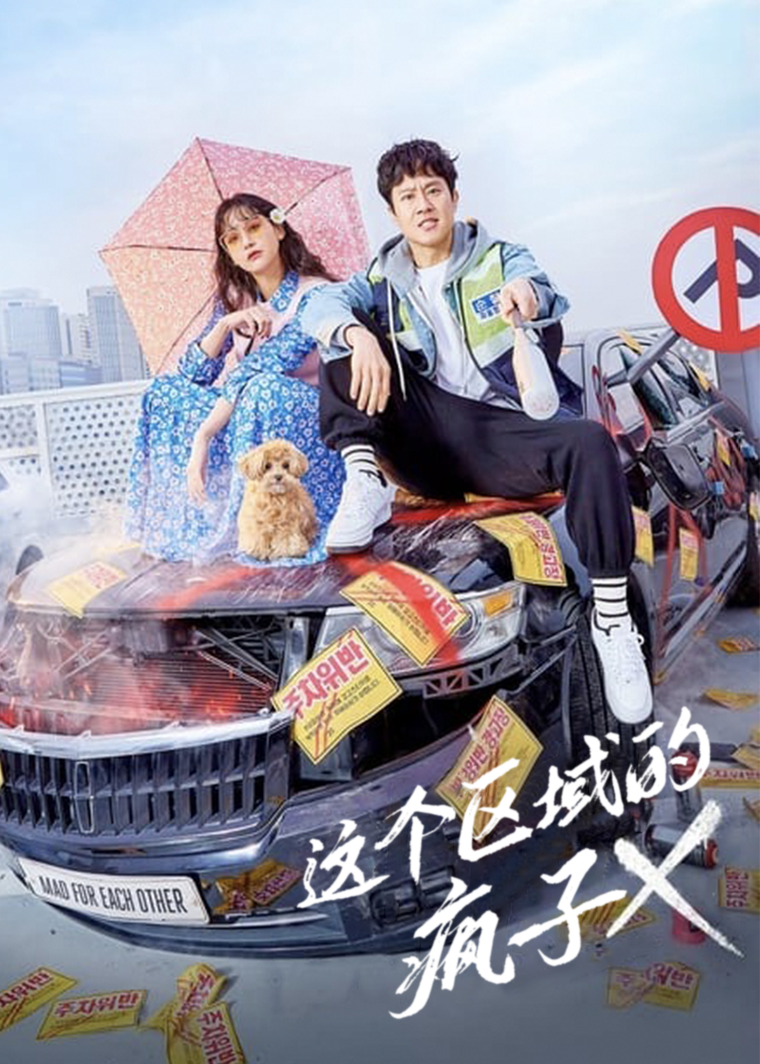 这个区域的疯子X