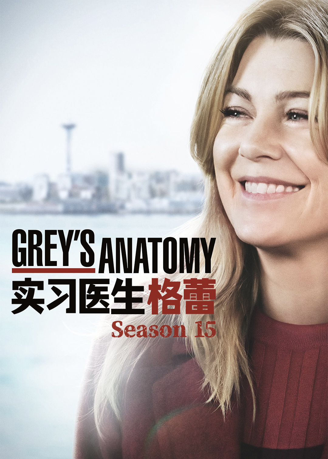 实习医生格蕾第十五季
