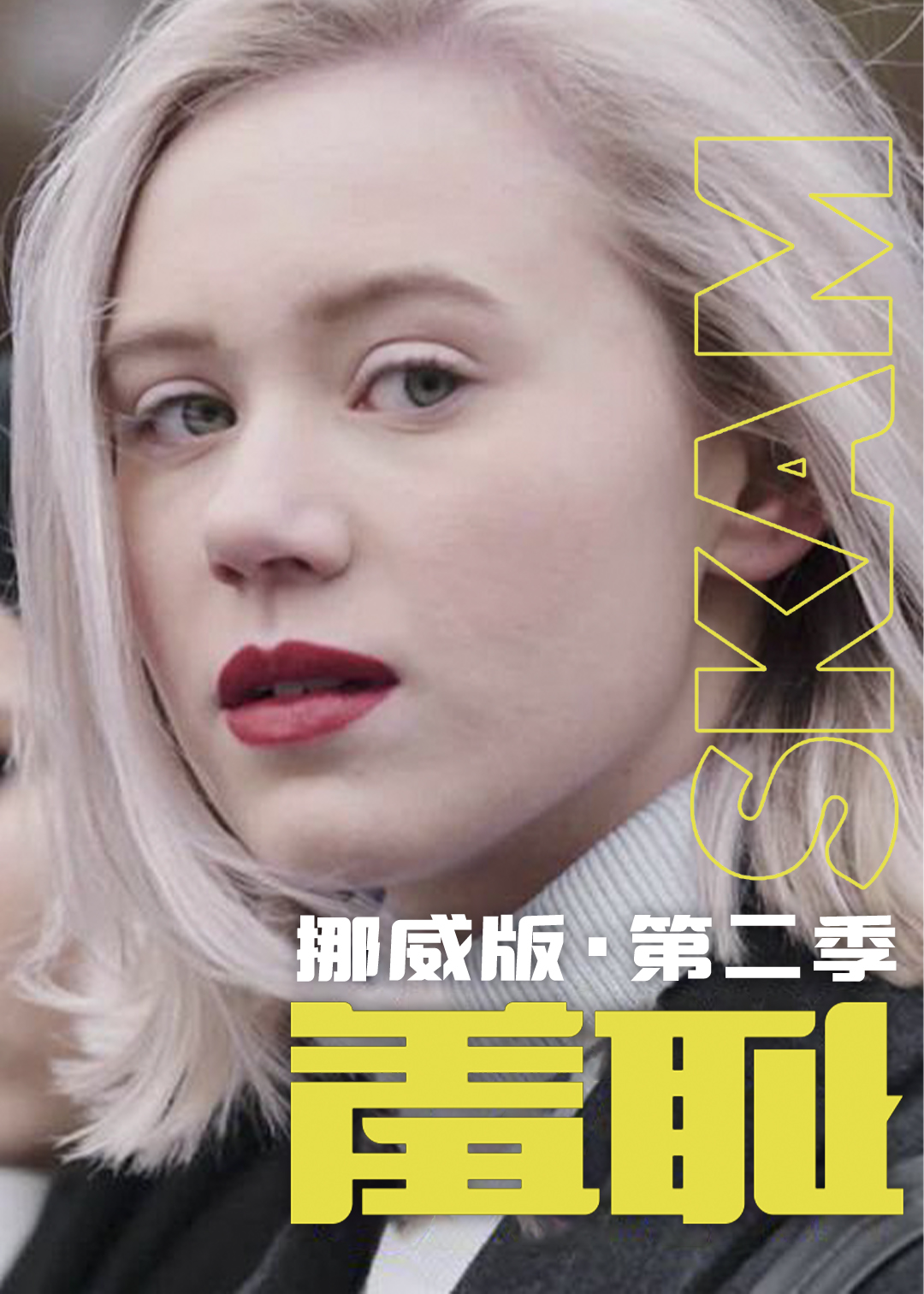 羞耻挪威第二季