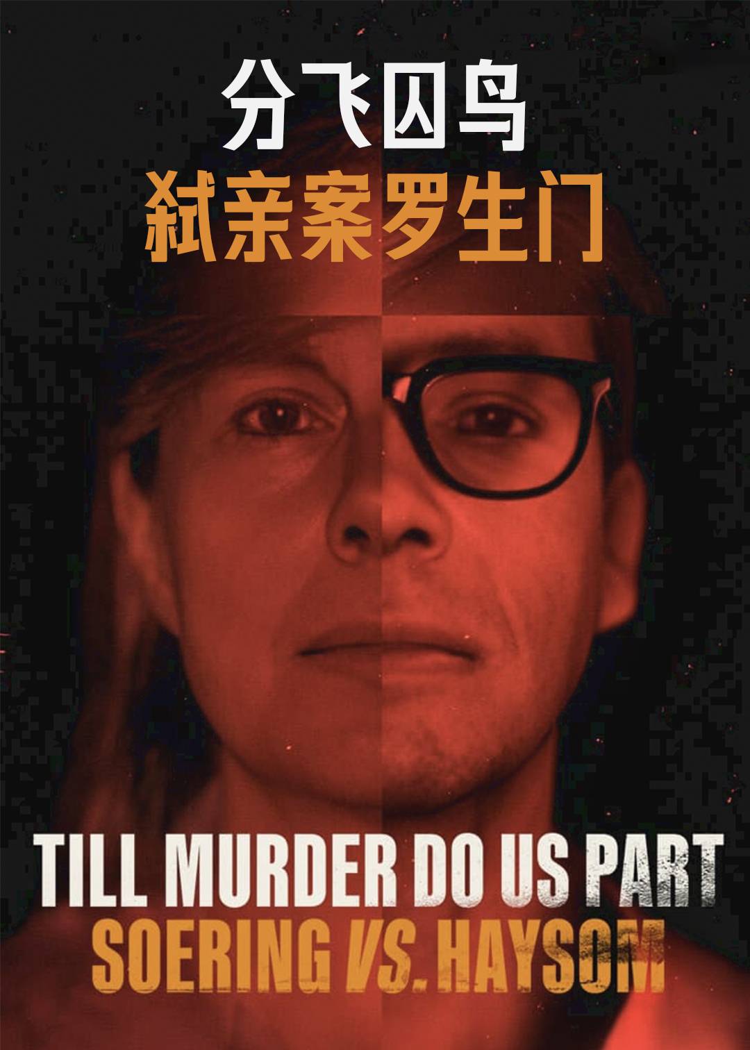 分飞囚鸟弑亲案罗生门