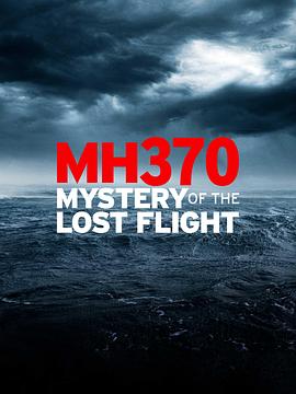 MH370消失的航班