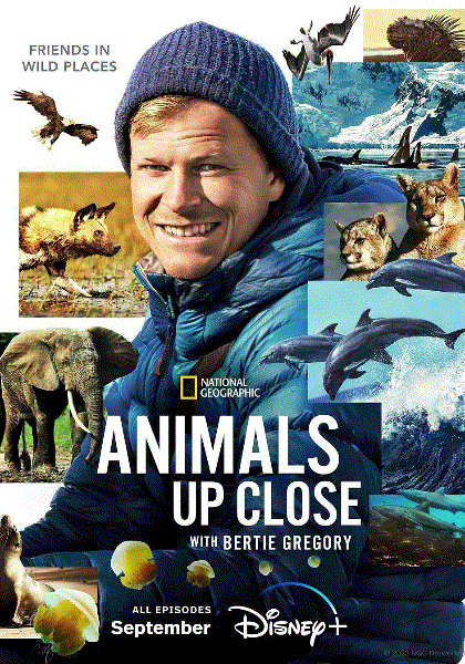 贝尔蒂格雷戈里与动物零距离