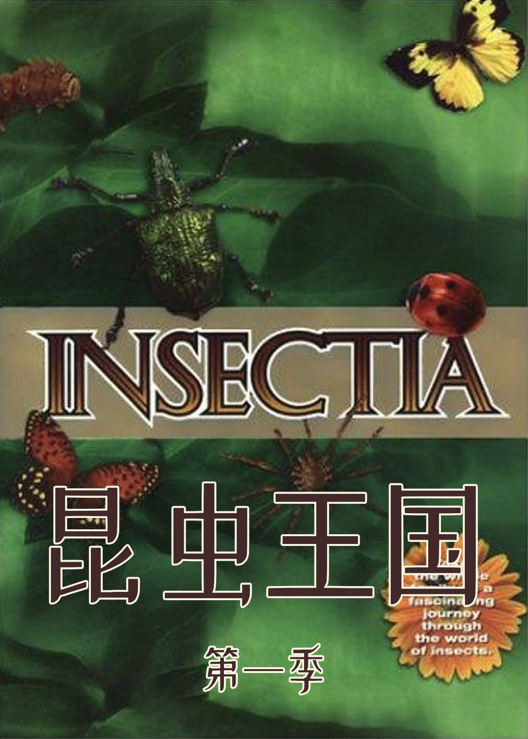 昆虫王国第一季