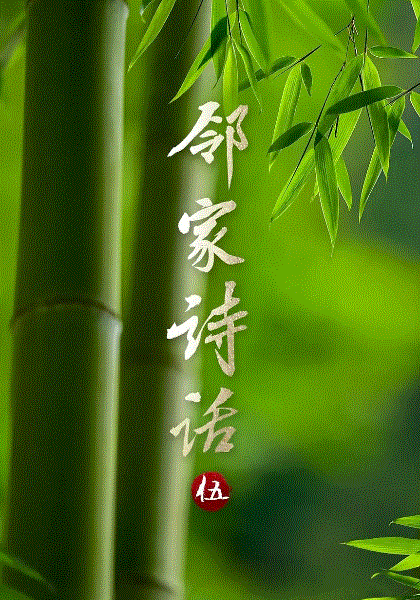 邻家诗话第五季