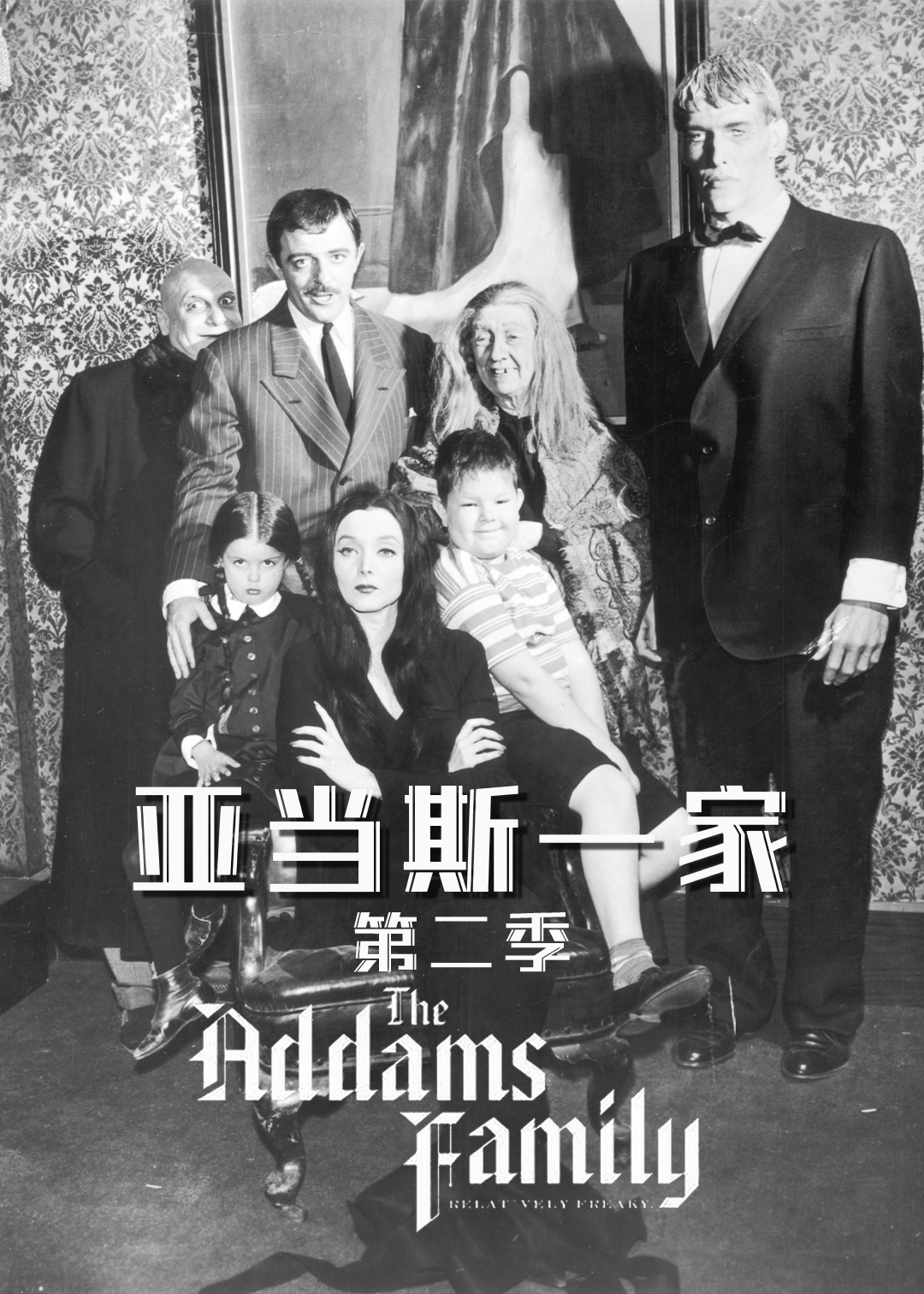 亚当斯一家第二季