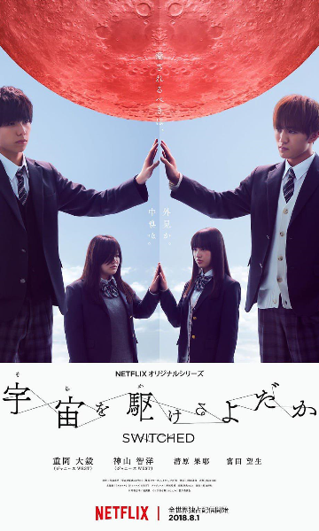 翱翔于天际的夜鹰