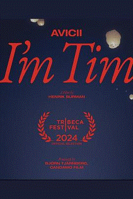 电音奇才艾维奇蒂姆原色