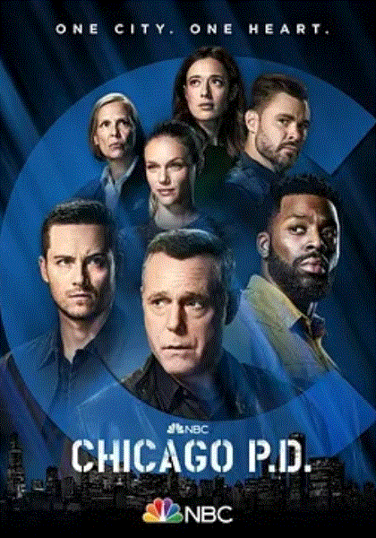 芝加哥警署第九季