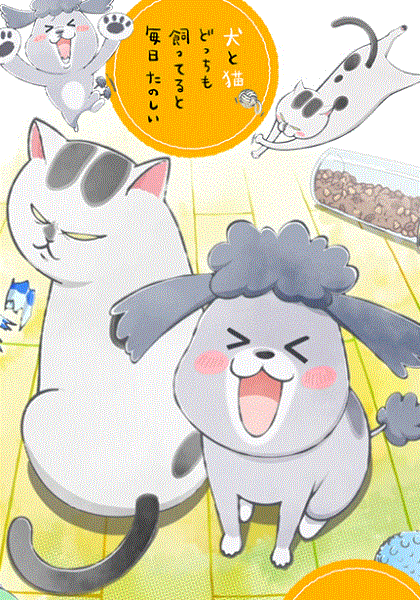 养狗与猫每天都很开心