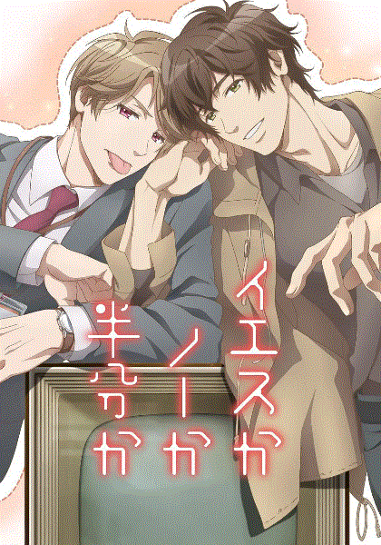 爱情可以分割吗