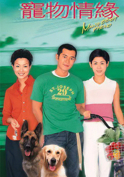 宠物情缘粤配