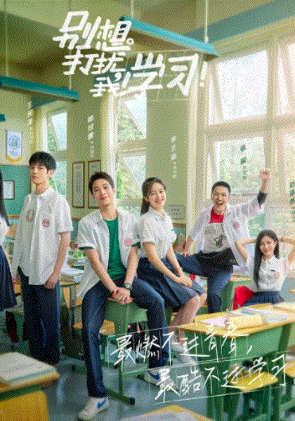 别想打扰我学习