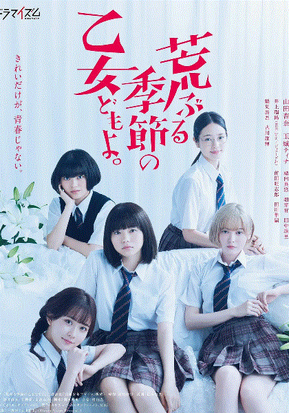 骚动时节的少女们啊