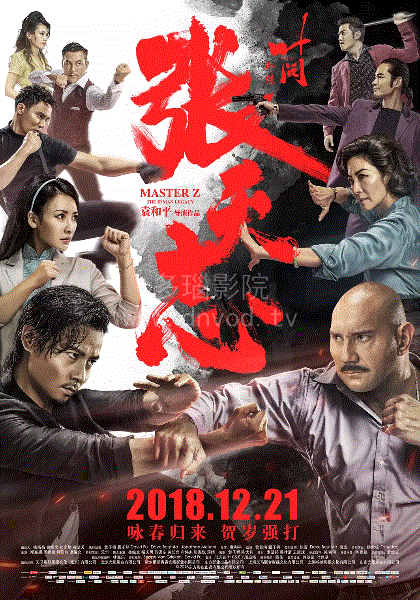 叶问外传张天志