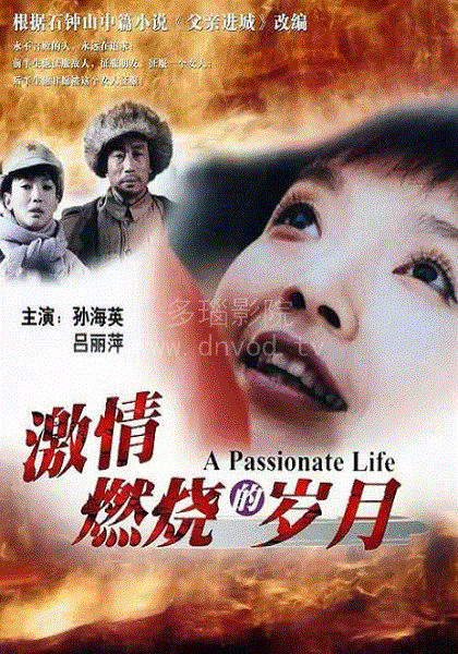 激情燃烧的岁月