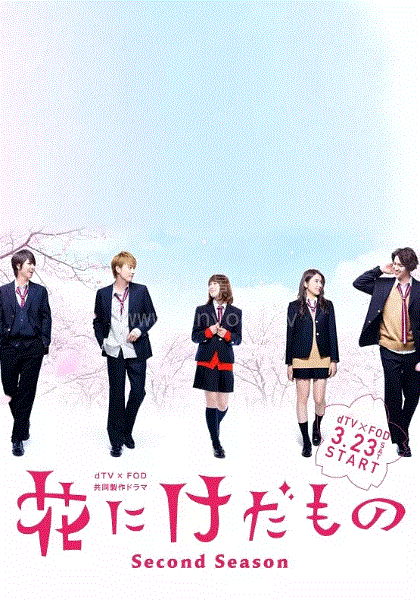 花予野兽第二季