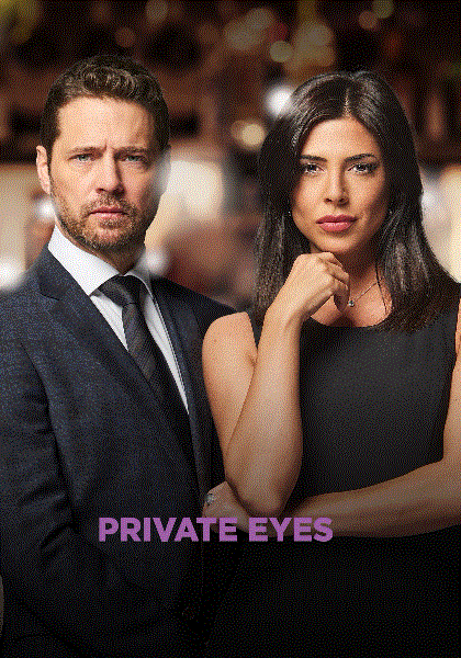 私家侦探第三季