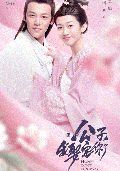 公子我娶定你了