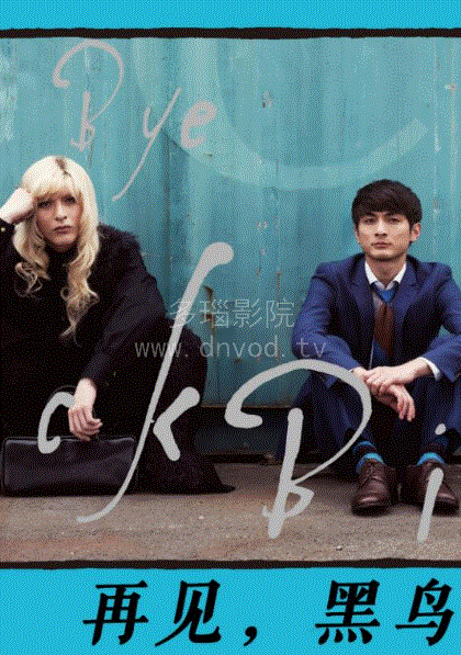 再见黑鸟