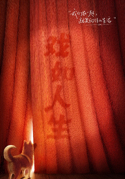 向往的生活第八季