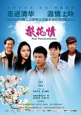 梨花情封面图