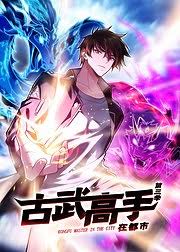 动态漫画古武高手在都市第三季