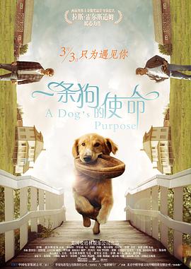 一条狗的使命ADogampamp#39sPurpose封面图