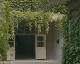 中学时代我们的省实