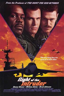 捍卫入侵者FlightoftheIntruder封面图