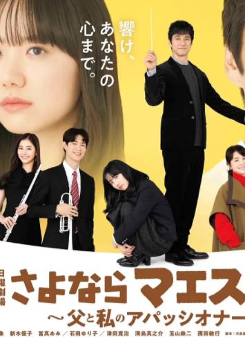 再见了指挥大师父亲与我的热情