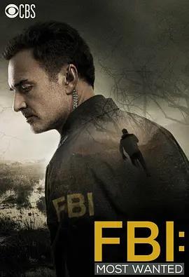 联邦调查局通缉要犯第一季