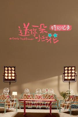 送你一朵小红花特别纪录