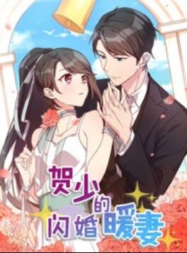 贺少的闪婚暖妻动态漫第一季