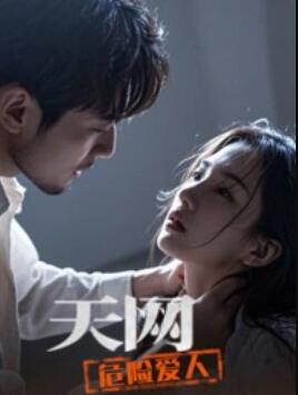 天网危险爱人